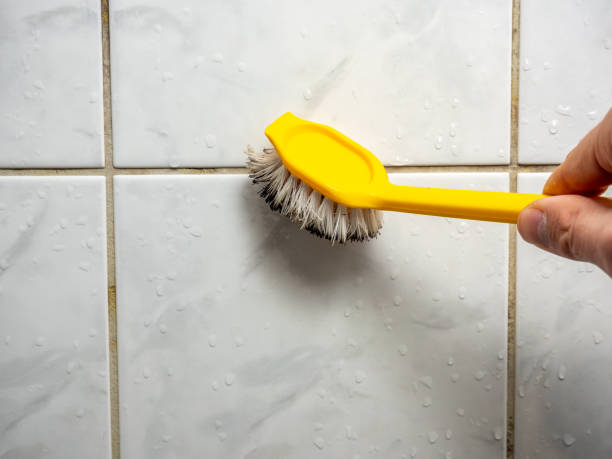 Best Mold Testing  in Seatac, WA