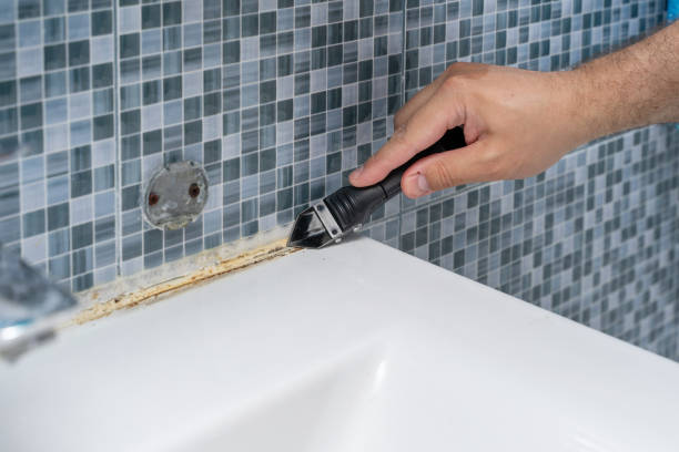 Best Professional Mold Removal  in Seatac, WA