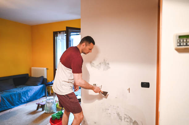Best Mold Removal Company Near Me  in Seatac, WA